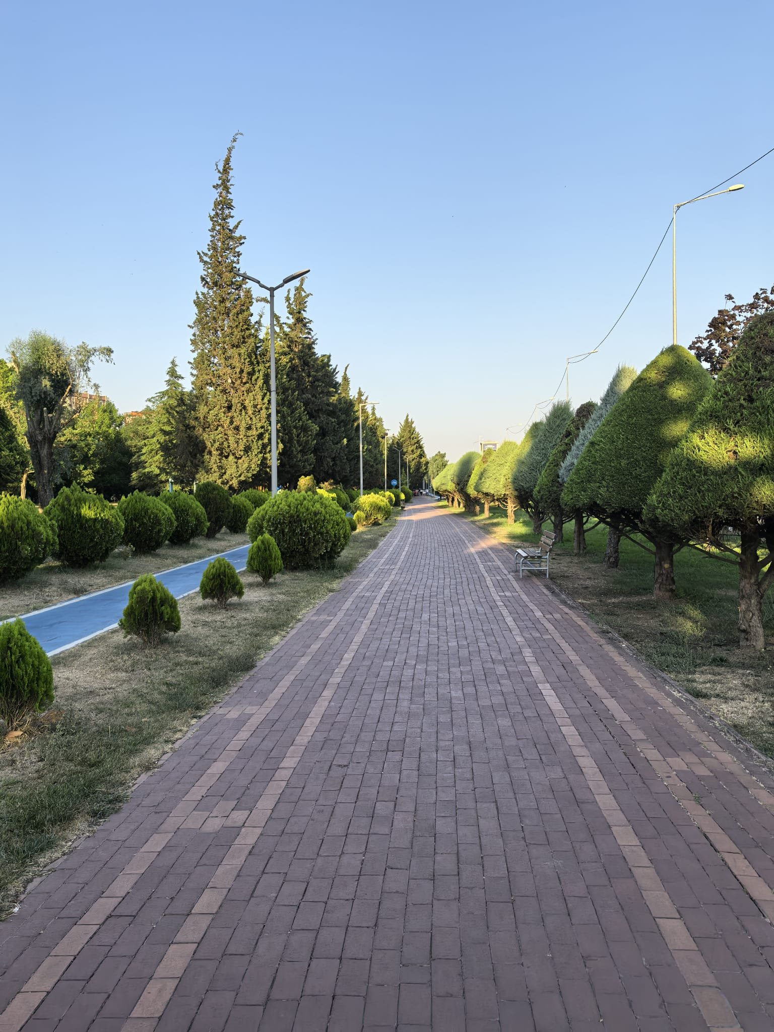 Doğa Yürüyüşü